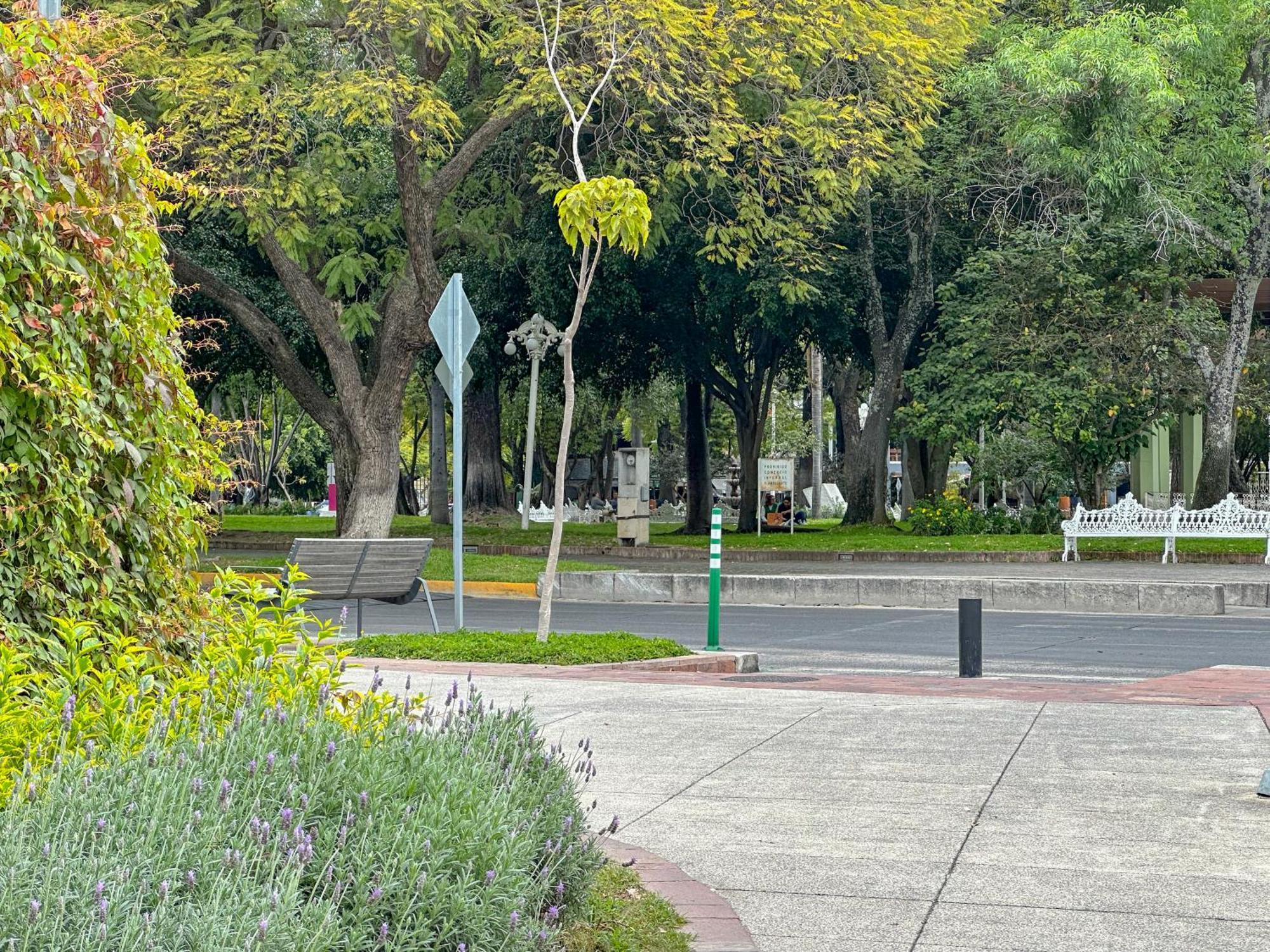 Sencillo Y Acogedor Estudio En Chapalita 02 Guadalajara Ngoại thất bức ảnh