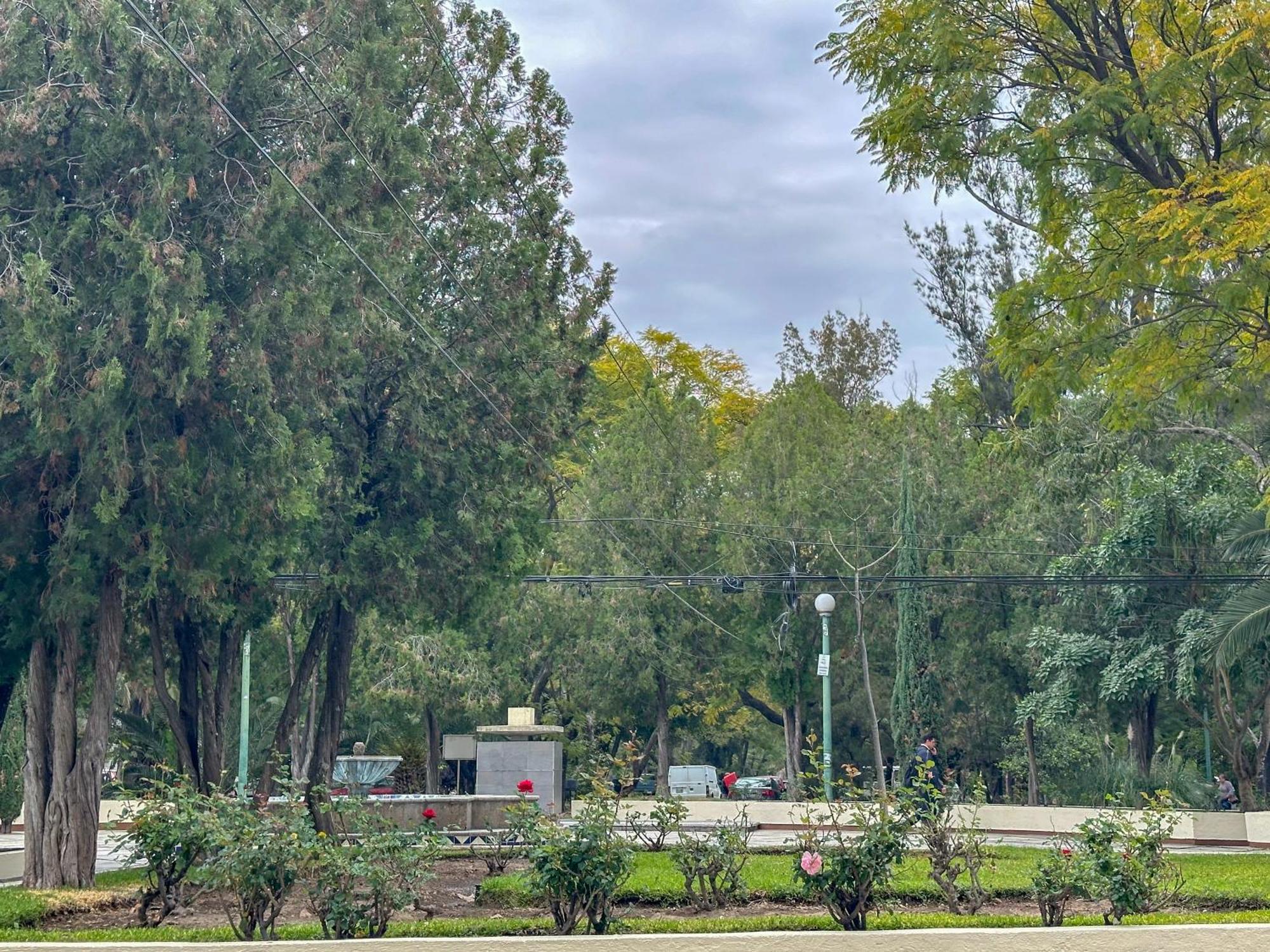 Sencillo Y Acogedor Estudio En Chapalita 02 Guadalajara Ngoại thất bức ảnh