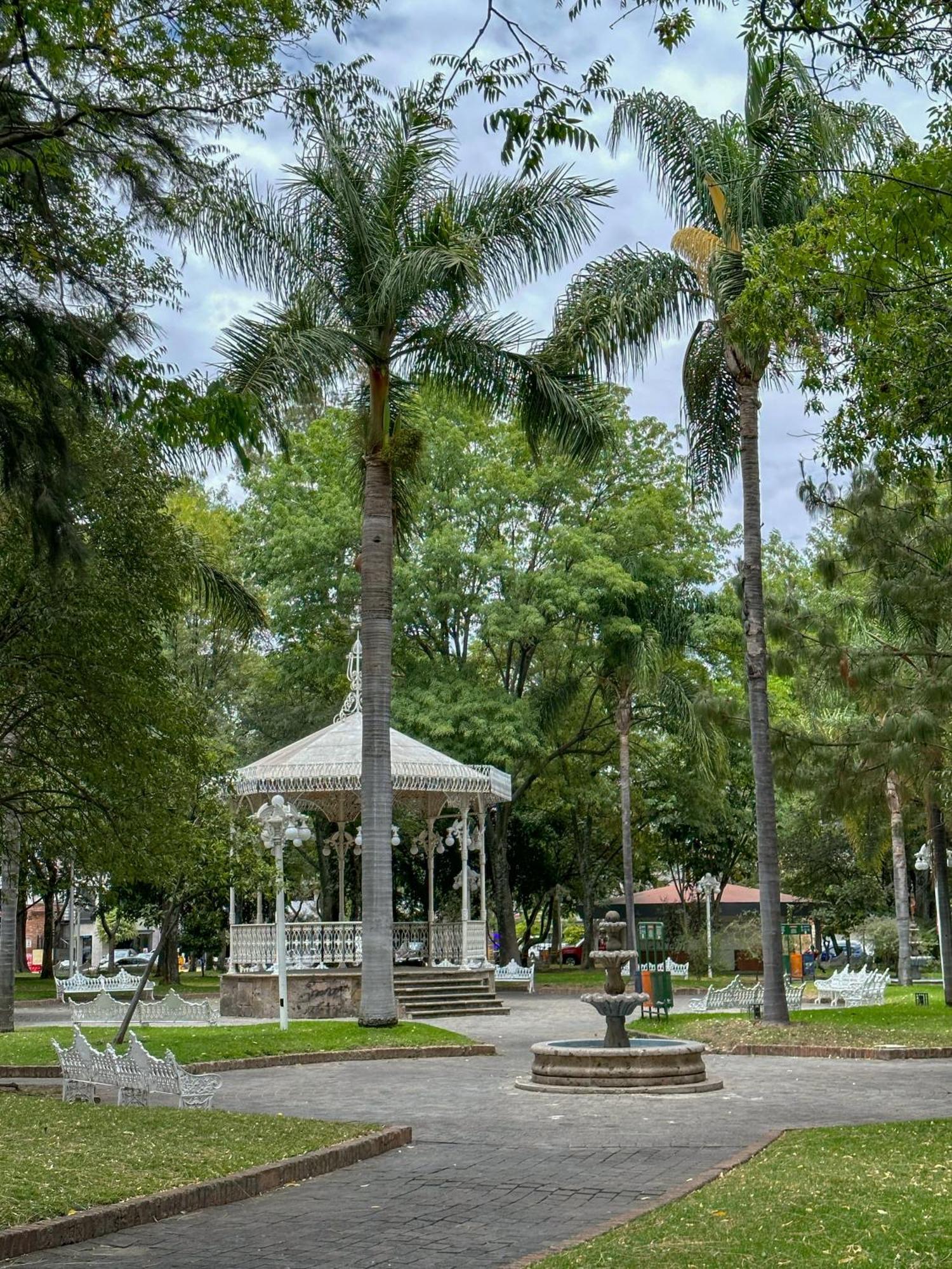 Sencillo Y Acogedor Estudio En Chapalita 02 Guadalajara Ngoại thất bức ảnh